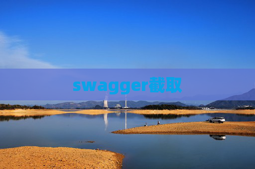 swagger截取